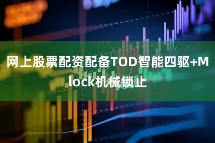 网上股票配资配备TOD智能四驱+Mlock机械锁止