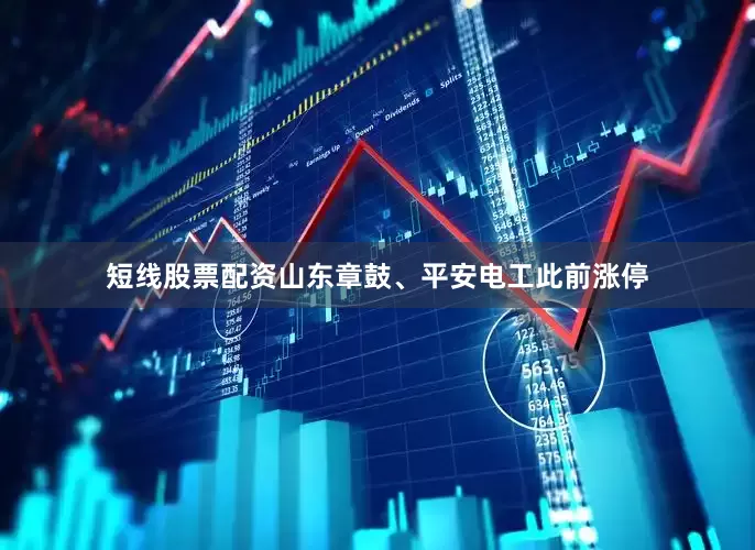 短线股票配资山东章鼓、平安电工此前涨停